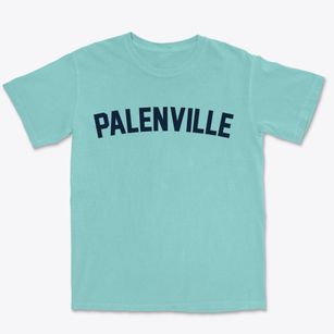 Palenville New York Classic Curve Premium Heavyweight T-shirt
