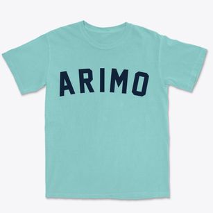 Arimo Idaho Classic Curve Premium Heavyweight T-shirt