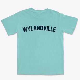 Wylandville Pennsylvania Classic Curve Premium Heavyweight T-shirt