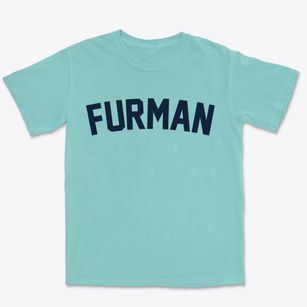 Furman South Carolina Classic Curve Premium Heavyweight T-shirt