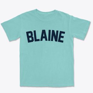 Blaine Minnesota Classic Curve Premium Heavyweight T-shirt