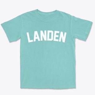 Landen Ohio Classic Curve Premium Heavyweight T-shirt