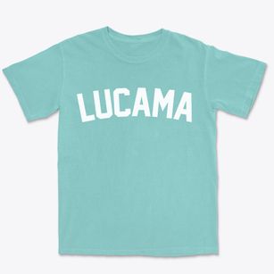 Lucama North Carolina Classic Curve Premium Heavyweight T-shirt