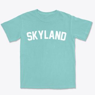 Skyland Nevada Classic Curve Premium Heavyweight T-shirt