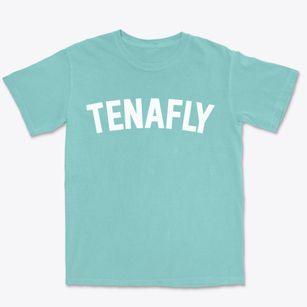 Tenafly New Jersey Classic Curve Premium Heavyweight T-shirt
