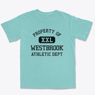 Westbrook Connecticut Athletic Dept Premium Heavyweight T-shirt