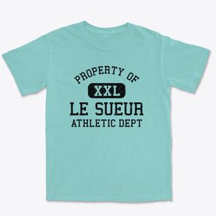 Le Sueur Minnesota Athletic Dept Premium Heavyweight T-shirt
