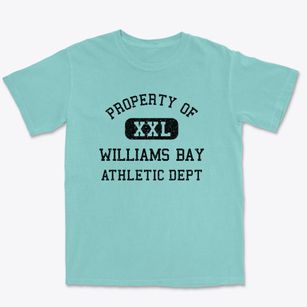 Williams Bay Wisconsin Athletic Dept Premium Heavyweight T-shirt