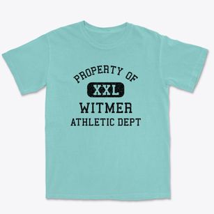 Witmer Pennsylvania Athletic Dept Premium Heavyweight T-shirt