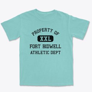 Fort Bidwell California Athletic Dept Premium Heavyweight T-shirt