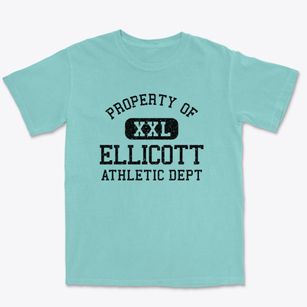 Ellicott New York Athletic Dept Premium Heavyweight T-shirt