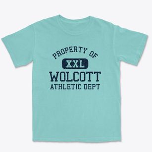 Wolcott New York Athletic Dept Premium Heavyweight T-shirt
