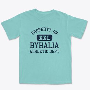 Byhalia Mississippi Athletic Dept Premium Heavyweight T-shirt