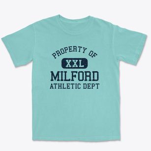Milford Illinois Athletic Dept Premium Heavyweight T-shirt