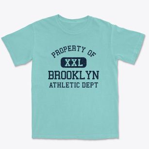 Brooklyn Ohio Athletic Dept Premium Heavyweight T-shirt