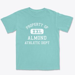 Almond New York Athletic Dept Premium Heavyweight T-shirt
