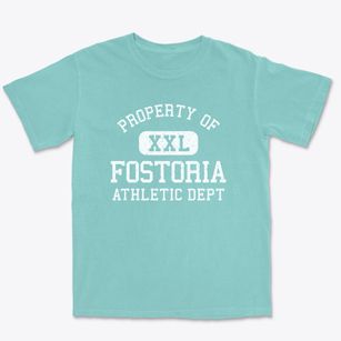 Fostoria Iowa Athletic Dept Premium Heavyweight T-shirt