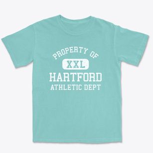 Hartford Wisconsin Athletic Dept Premium Heavyweight T-shirt