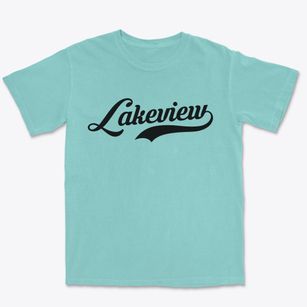 Lakeview New York Vintage Team Premium Heavyweight T-shirt