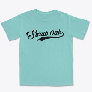 Shrub Oak New York Vintage Team Premium Heavyweight T-shirt