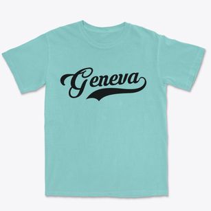 Geneva Indiana Vintage Team Premium Heavyweight T-shirt