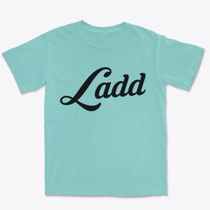 Ladd Illinois Vintage Team Premium Heavyweight T-shirt