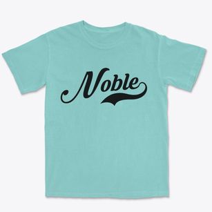 Noble Illinois Vintage Team Premium Heavyweight T-shirt