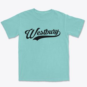 Westbury New York Vintage Team Premium Heavyweight T-shirt