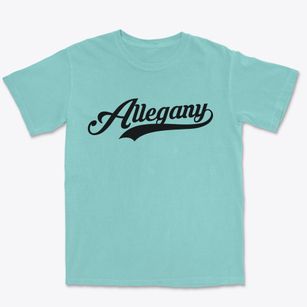 Allegany New York Vintage Team Premium Heavyweight T-shirt