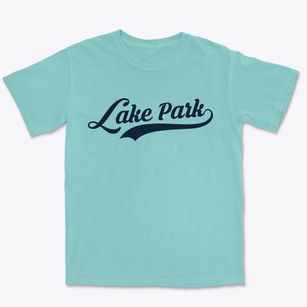 Lake Park Georgia Vintage Team Premium Heavyweight T-shirt