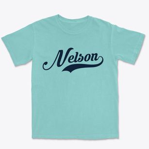 Nelson New Hampshire Vintage Team Premium Heavyweight T-shirt