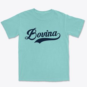 Bovina New York Vintage Team Premium Heavyweight T-shirt
