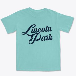 Lincoln Park Texas Vintage Team Premium Heavyweight T-shirt