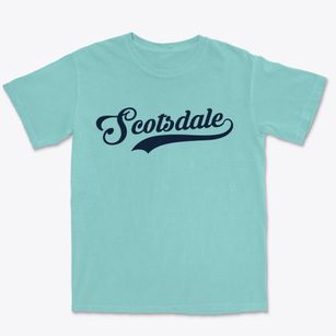 Scotsdale Missouri Vintage Team Premium Heavyweight T-shirt