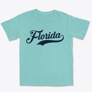 Florida Missouri Vintage Team Premium Heavyweight T-shirt