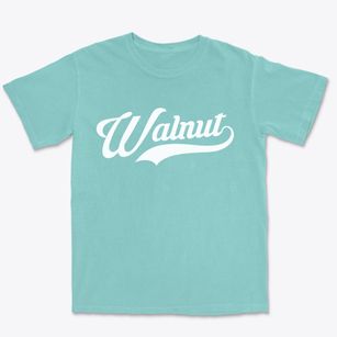 Walnut Iowa Vintage Team Premium Heavyweight T-shirt