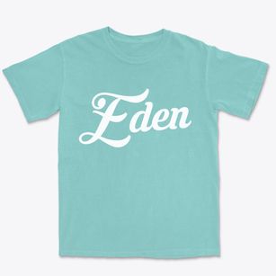 Eden North Carolina Vintage Team Premium Heavyweight T-shirt