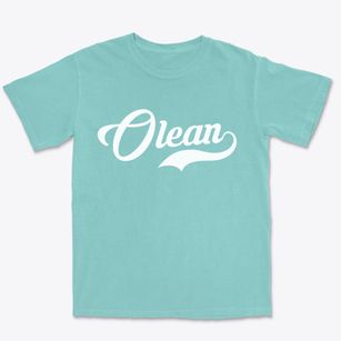 Olean Missouri Vintage Team Premium Heavyweight T-shirt