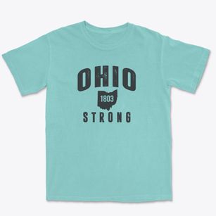  Ohio Strong Premium Heavyweight T-shirt