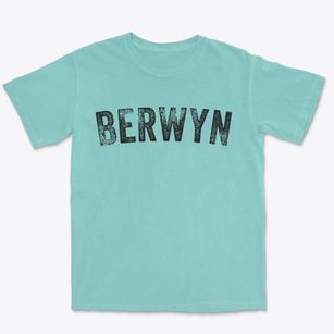 Berwyn Pennsylvania Timeless Retro Premium Heavyweight T-shirt