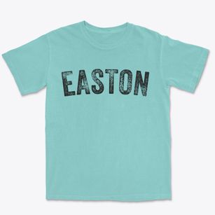 Easton Pennsylvania Timeless Retro Premium Heavyweight T-shirt