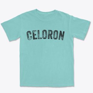 Celoron New York Timeless Retro Premium Heavyweight T-shirt