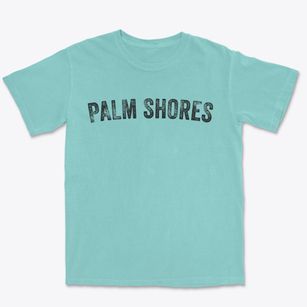 Palm Shores Florida Timeless Retro Premium Heavyweight T-shirt