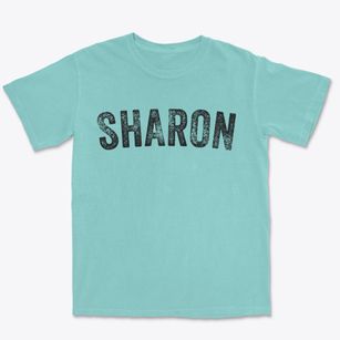 Sharon New Hampshire Timeless Retro Premium Heavyweight T-shirt