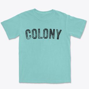 Colony Alabama Timeless Retro Premium Heavyweight T-shirt