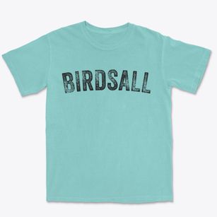 Birdsall New York Timeless Retro Premium Heavyweight T-shirt