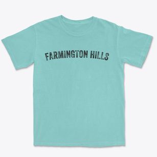 Farmington Hills Michigan Timeless Retro Premium Heavyweight T-shirt