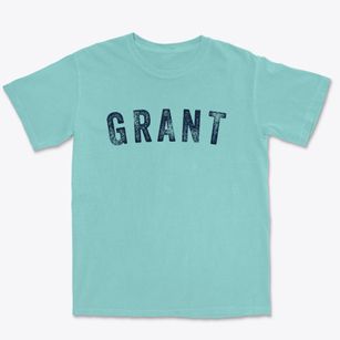 Grant Wisconsin Timeless Retro Premium Heavyweight T-shirt