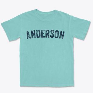 Anderson South Carolina Timeless Retro Premium Heavyweight T-shirt