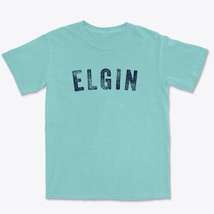Elgin North Dakota Timeless Retro Premium Heavyweight T-shirt